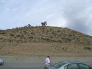 DSCN2682.jpg
